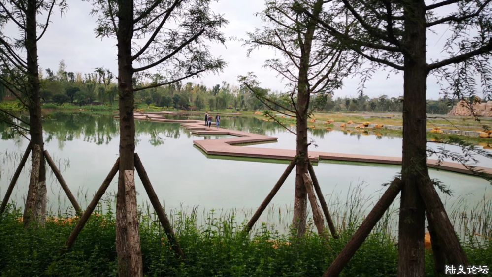 ����½��ͬ�ֹ�԰ (11).JPG