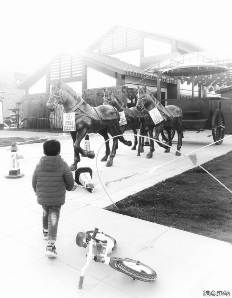 ����½��ͬ�ֹ�԰ (16).JPG