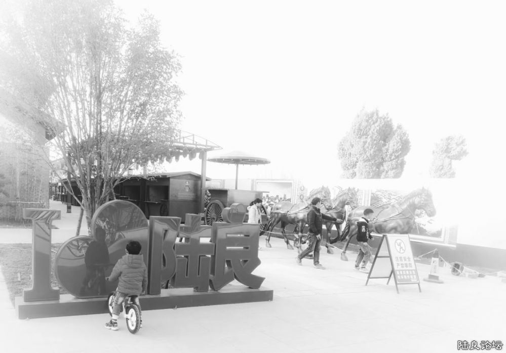 ����½��ͬ�ֹ�԰ (17).JPG