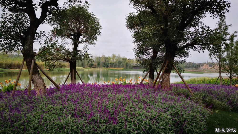 ����½��ͬ�ֹ�԰ (8).JPG