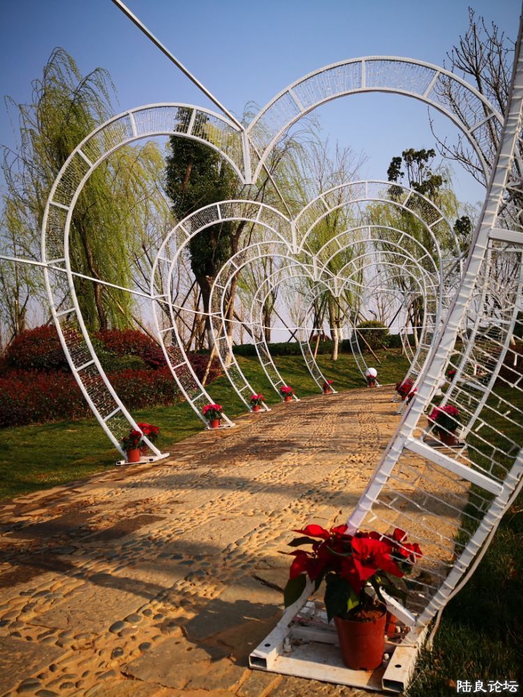 ����½��ͬ�ֹ�԰ (24).JPG