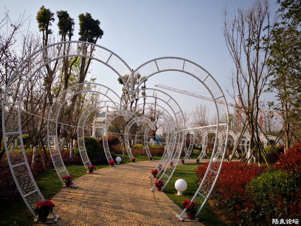 ����½��ͬ�ֹ�԰ (23).JPG