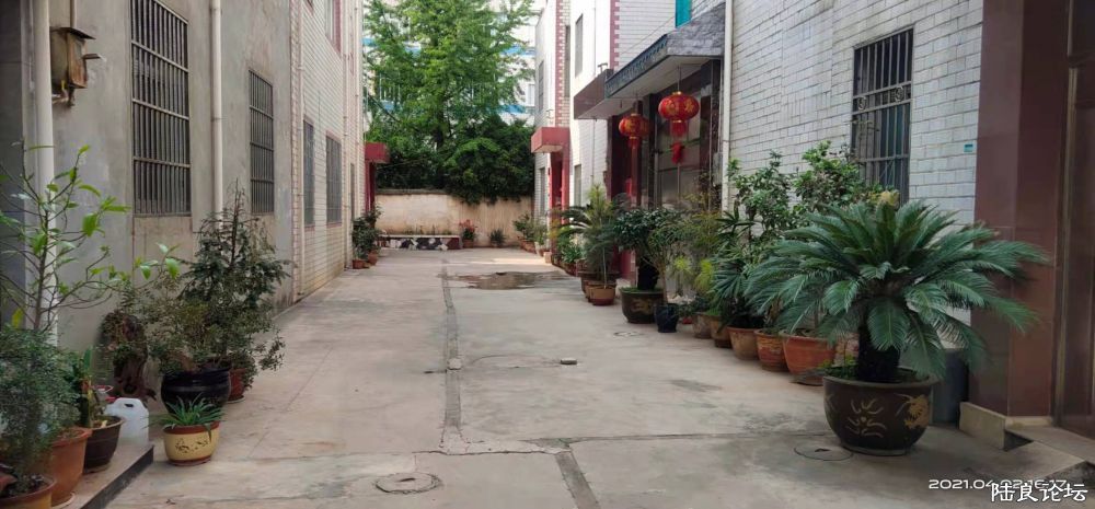 ���ſ�Ҳ��ͣ��