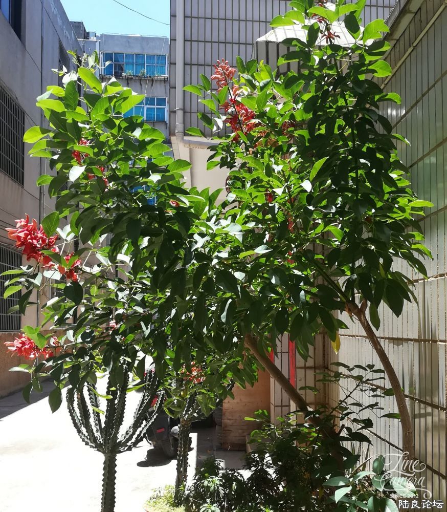 23-05-22-13-00-07-990_deco (1).jpg