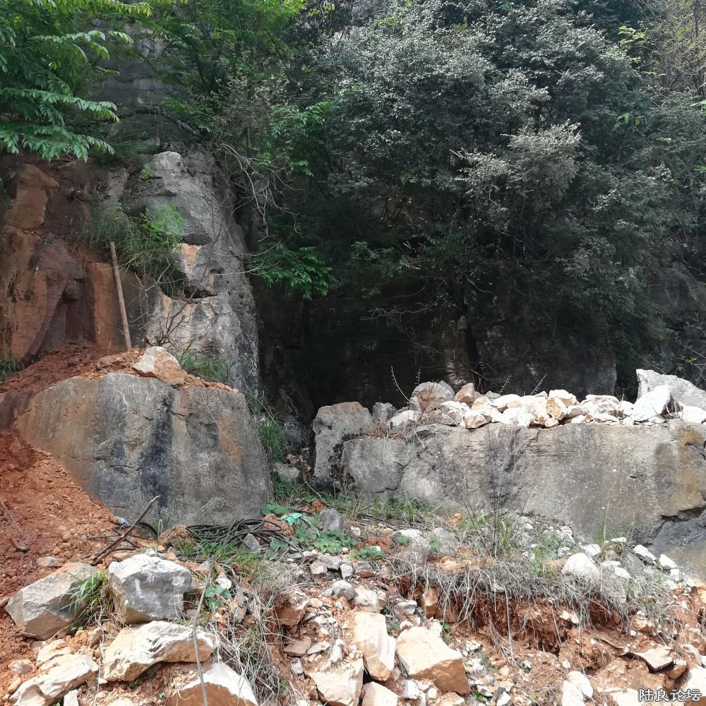 IMG_20230701_152116 (1).jpg