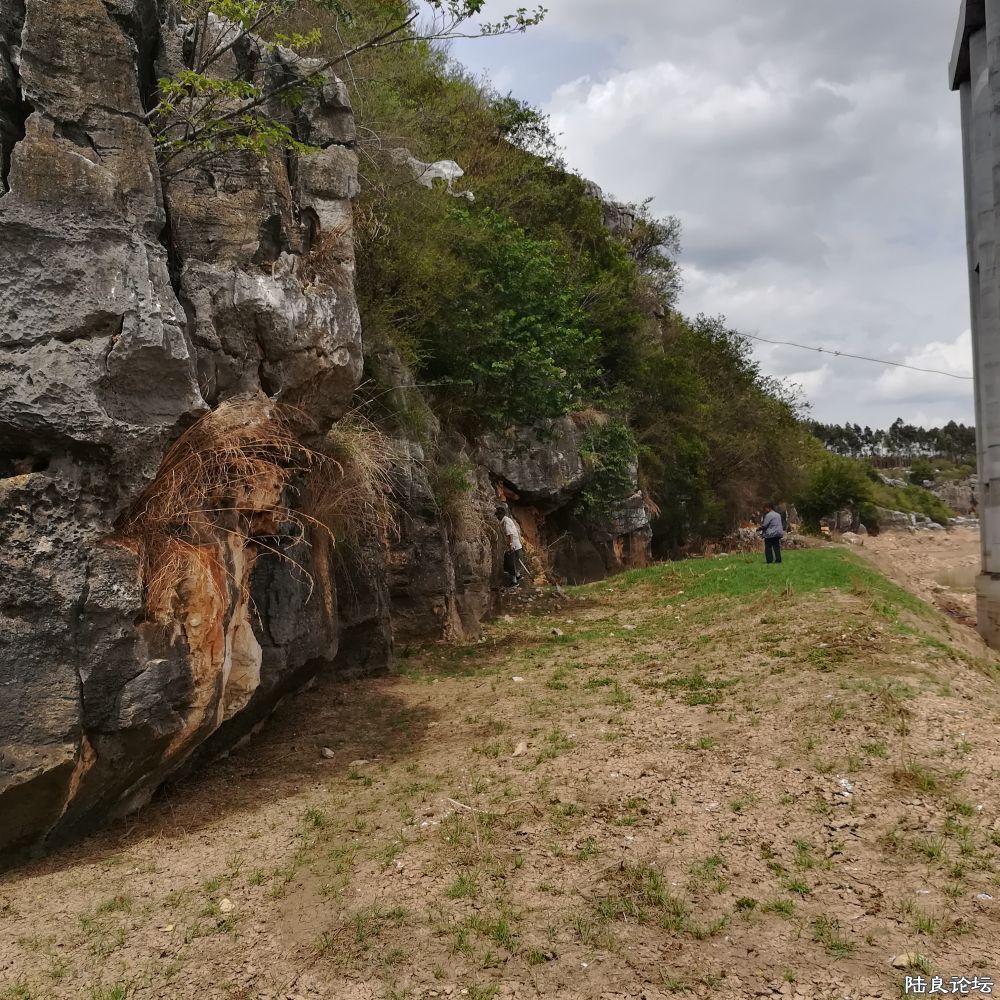 IMG_20230701_151811 (1).jpg