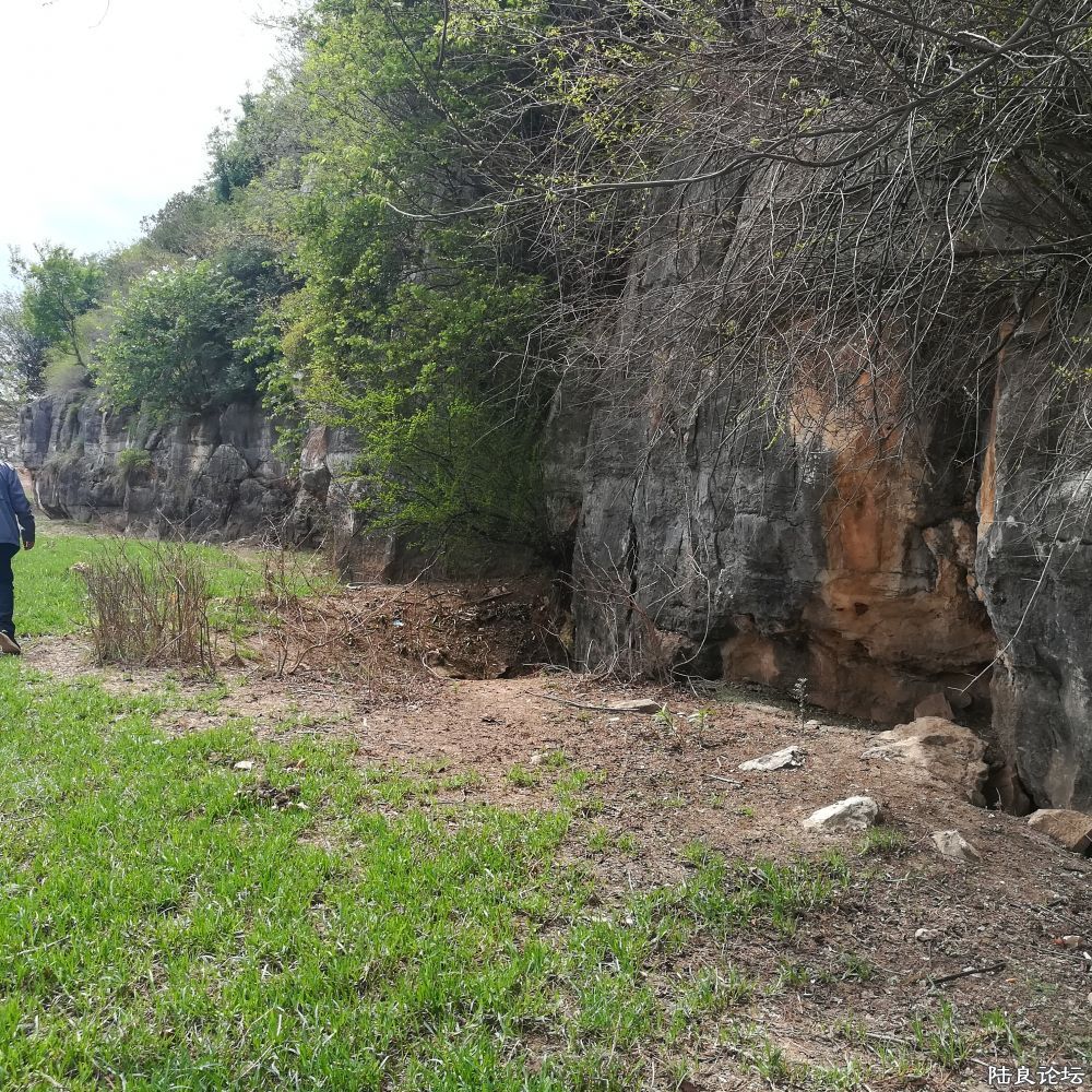 IMG_20230701_151408 (1).jpg