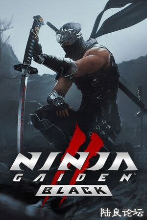 f971808f69_ninja-gaiden-2-black.jpg