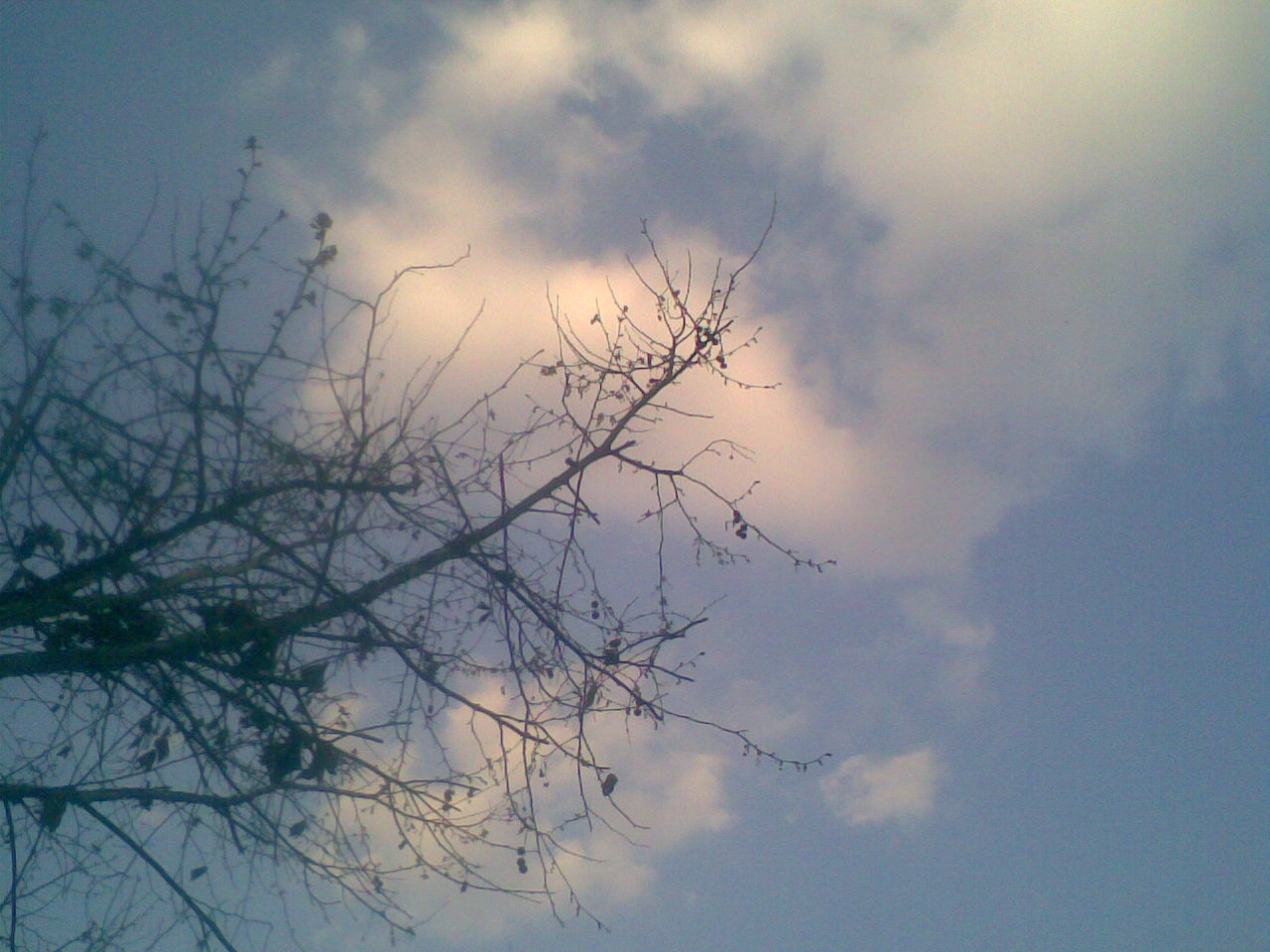 ��ϲ�����ţ�����ϧ�ϴ��󽫲�����������Ψһ���ź�