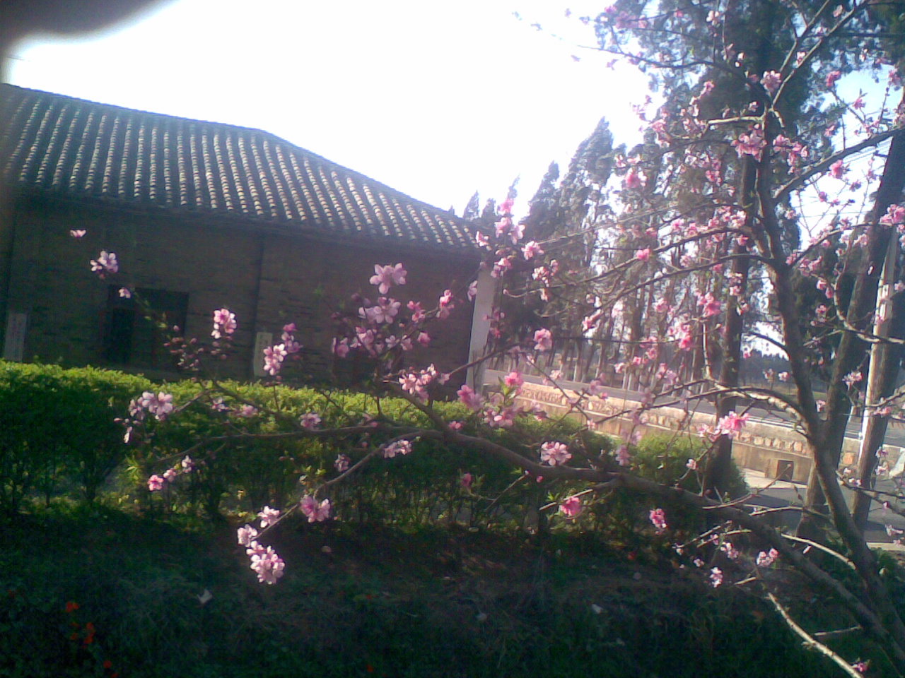 �һ�Ц����