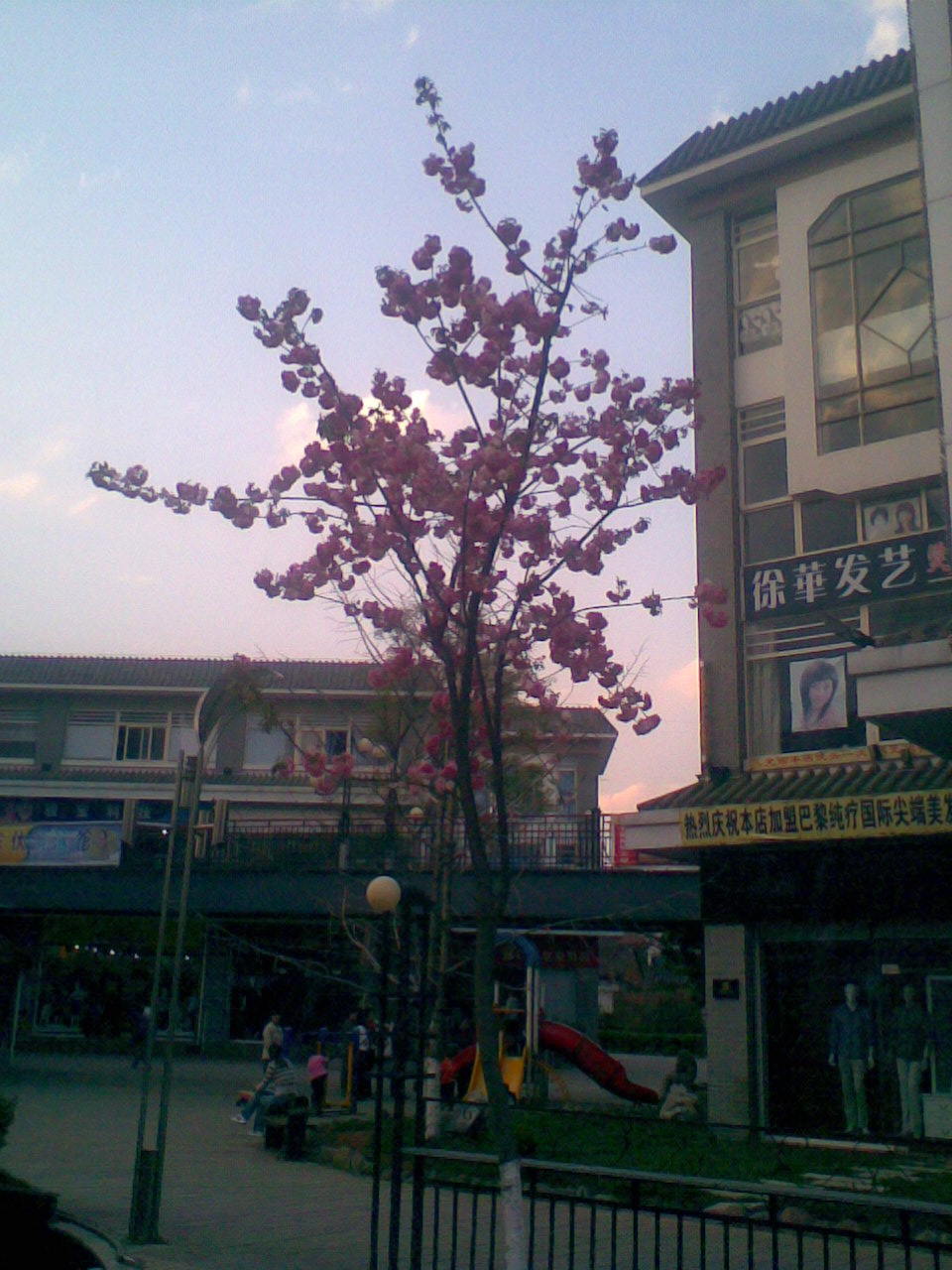 ���нֵ�ӣ������������������԰��ӣ������ϧ��ûʱ����ȥ������Ҳ�������һЩ��