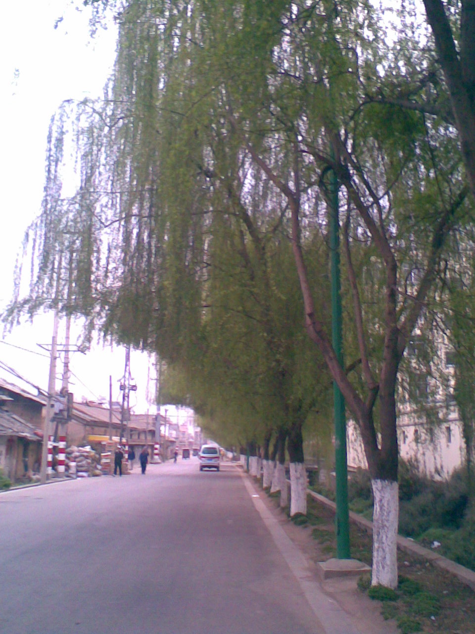 �⼸�������ߵ�ʱ�򣬿��Կ����������������~~��ɰ���С����~~