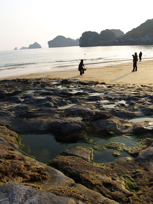 ��շ��磬ɳ̲������.......