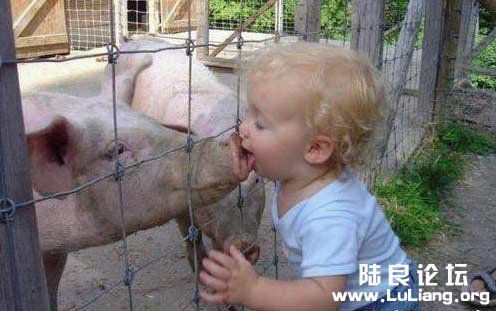 ��һ�ε���