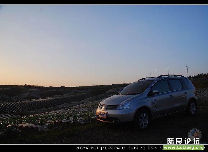 ������Ӱ