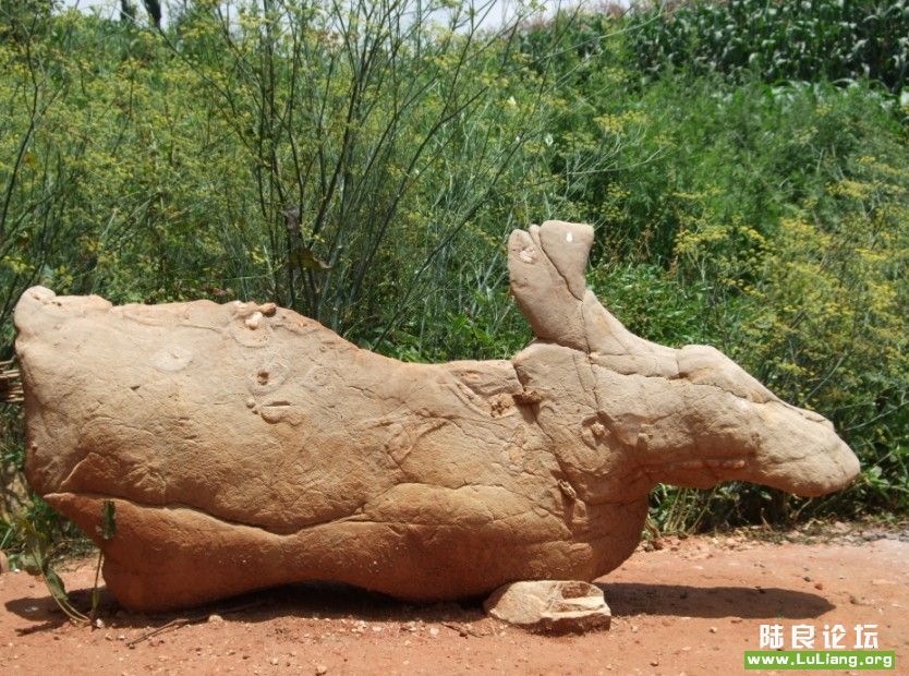 ������ʲô��