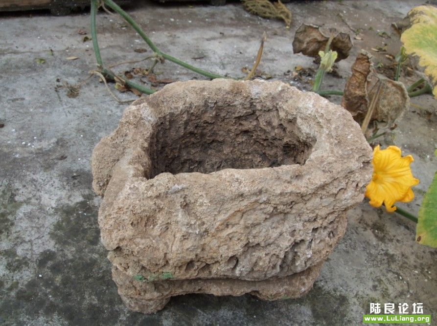 ���������ҿ���Ѱ��ʯͷ����Ļ