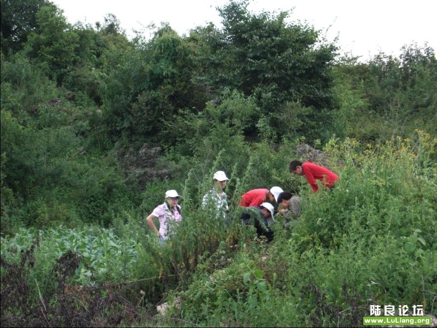 �ں�����