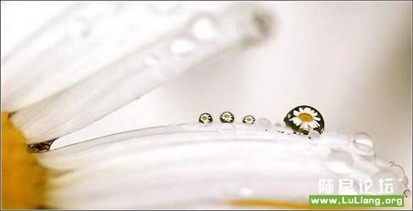 �������䣺6��14�գ����������մ��ݣ��������һ�䴺�׾��ϣ������ϵ�ˮ�����������䴺�׾ա�