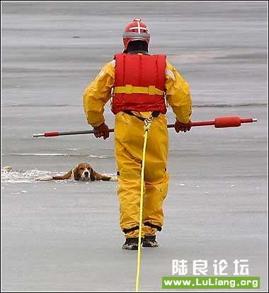 ��Ԯ�ж���3��28�գ�������ʡ��˹�أ���̹�������ϣ���Ԯ��Ա����׼��Ӫ��һֻ��Щ������ӵ���Ȯ