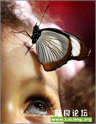 ͷ���ϵ�С����10��5�գ�������ŦԼ��������Ȼ��ʷ����ݵĺ���չ�ң�3���¬����������˹ע����һֻͣ���� ...