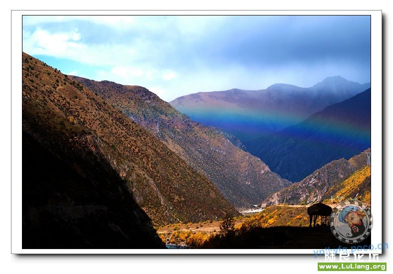 ż��·�ߵĲʺ�