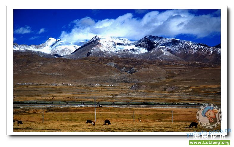 ��ѩɽ�����������·