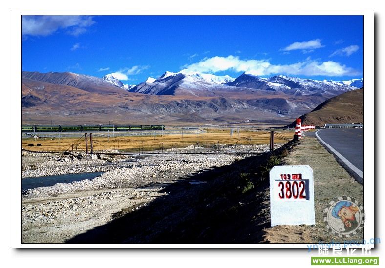 109����3802���ﴦ