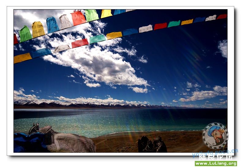 ��������ľ��