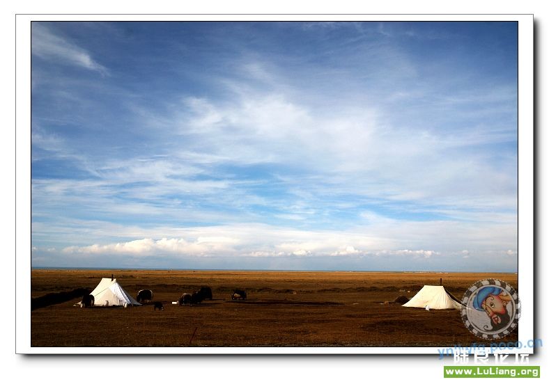 �������ຣ����