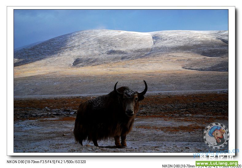 �����·�ߵ���ţ