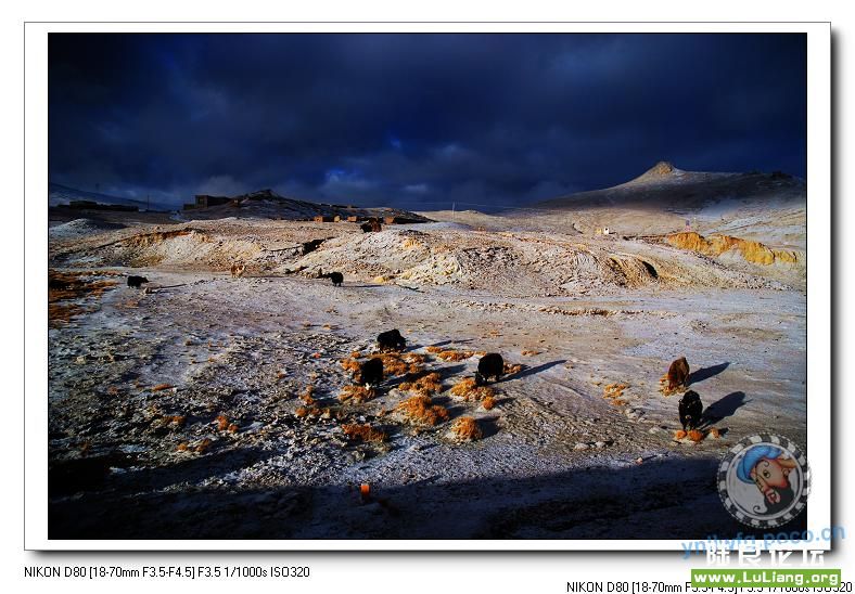 �����·�ߣ�ѩ�������Ⱥ