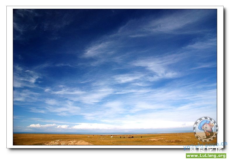 �������ຣ����