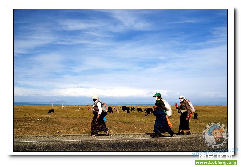 �������ຣ����