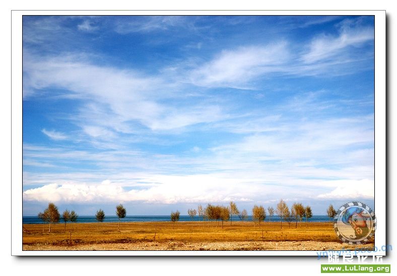 �������ຣ����