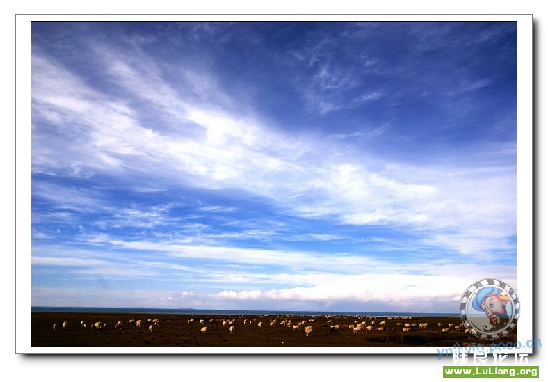 �������ຣ����