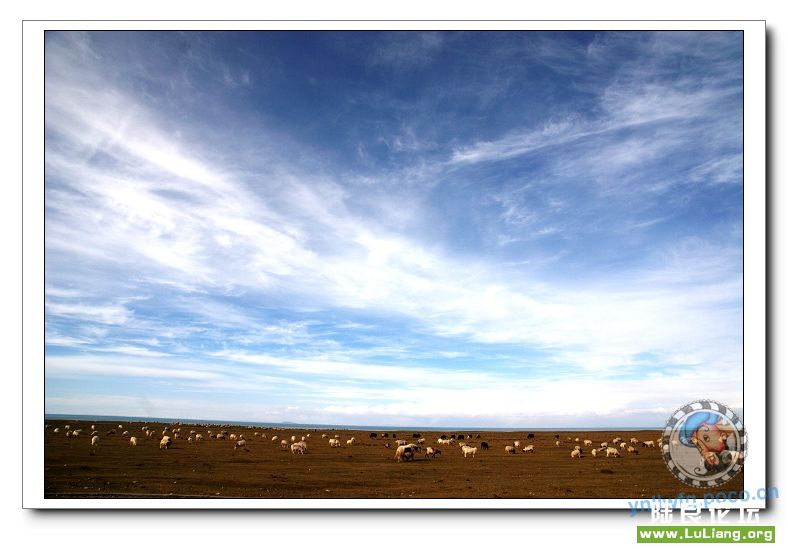 �������ຣ����