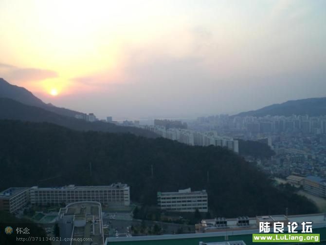 ѧУ�������ճ�