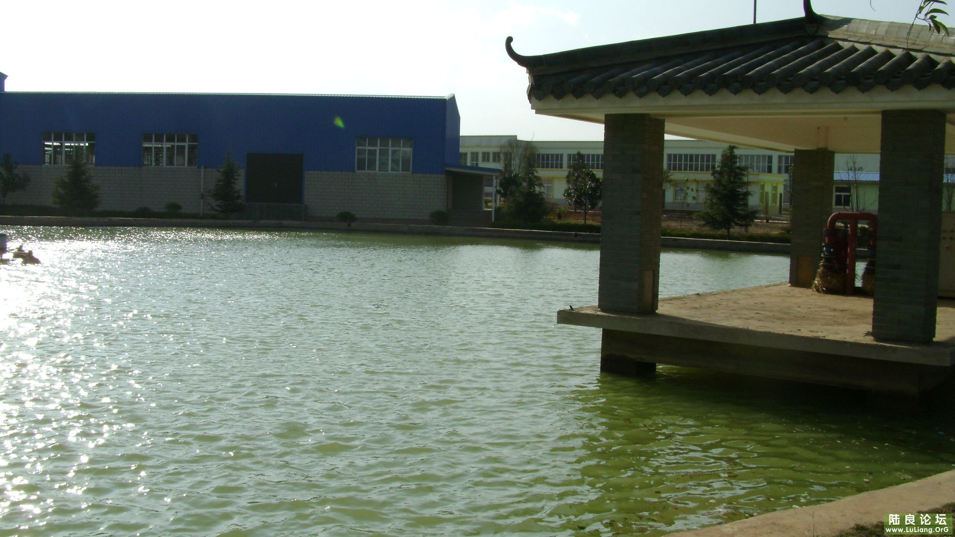 ����һ��