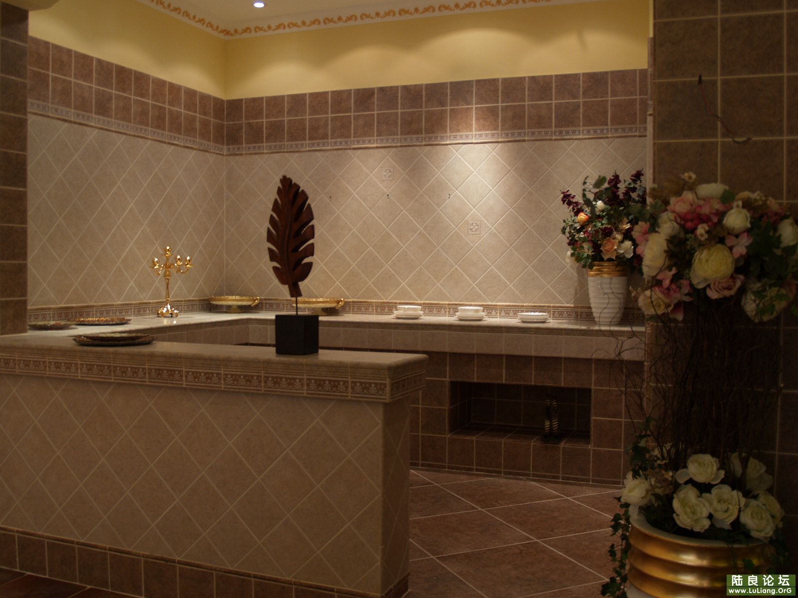 ����Ӧ��