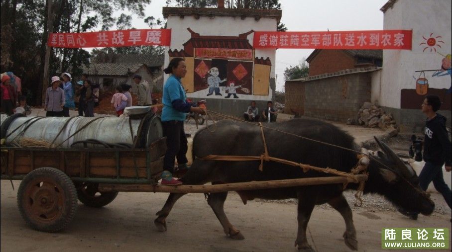 ���� (30).jpg