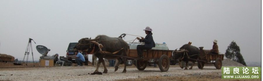 ���� (31).jpg