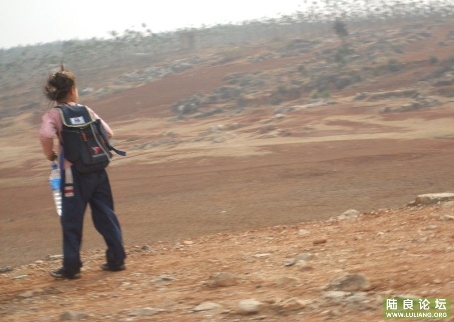 ���� (28).jpg