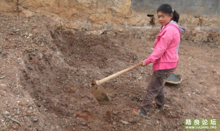 ���� (29).jpg