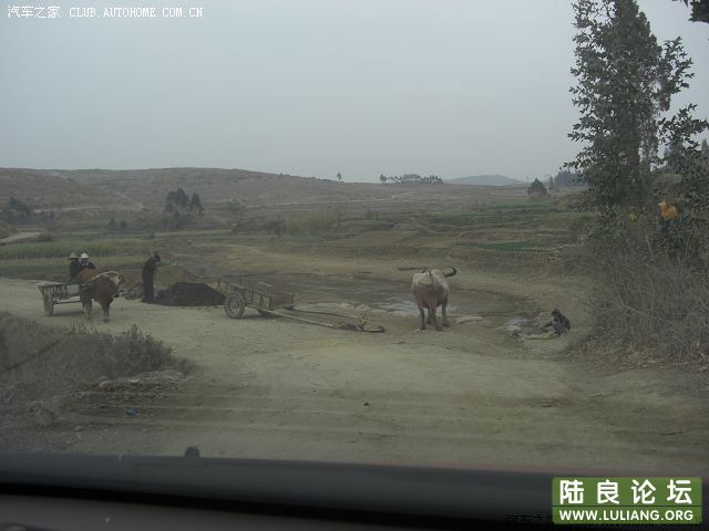 ����һ����