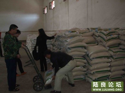 ѡ������