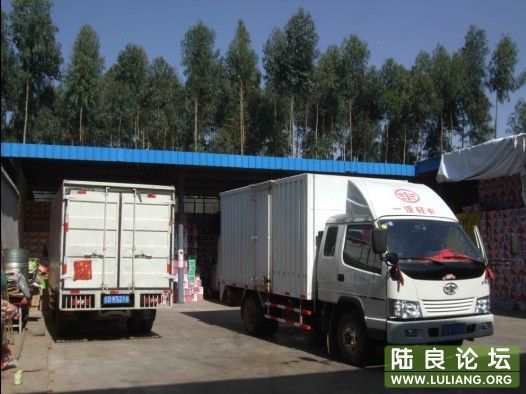 �޹�������ˮ������