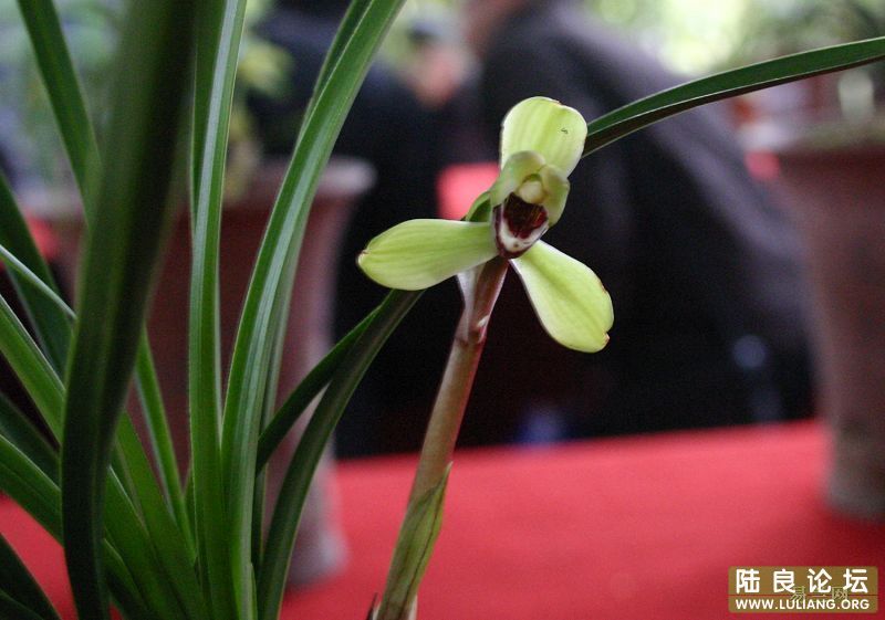 �Ա�һ�£��������Ȫ�ʵ���