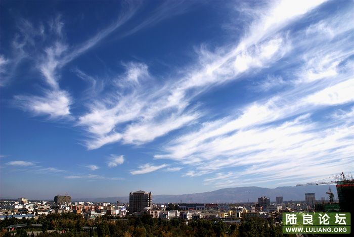 ��̨��½������ȫ��