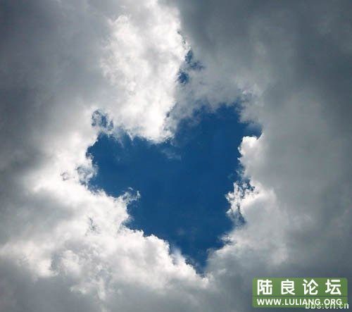 Ư������